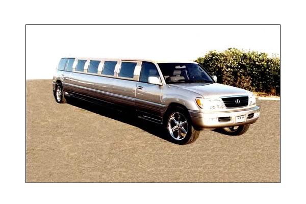 hotboyzlimo.jpg