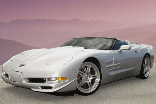 vette.jpg